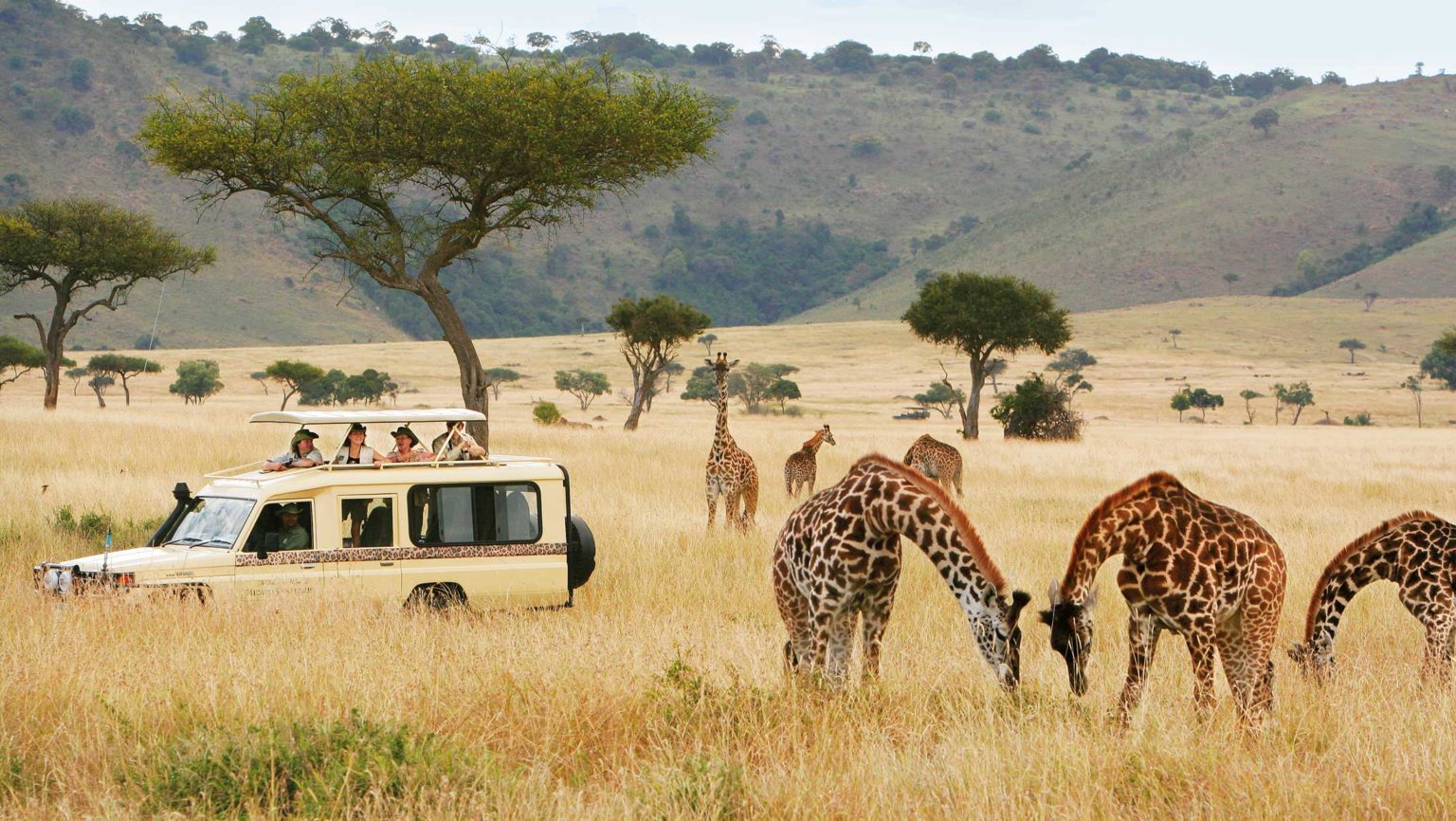 Africa-safaris